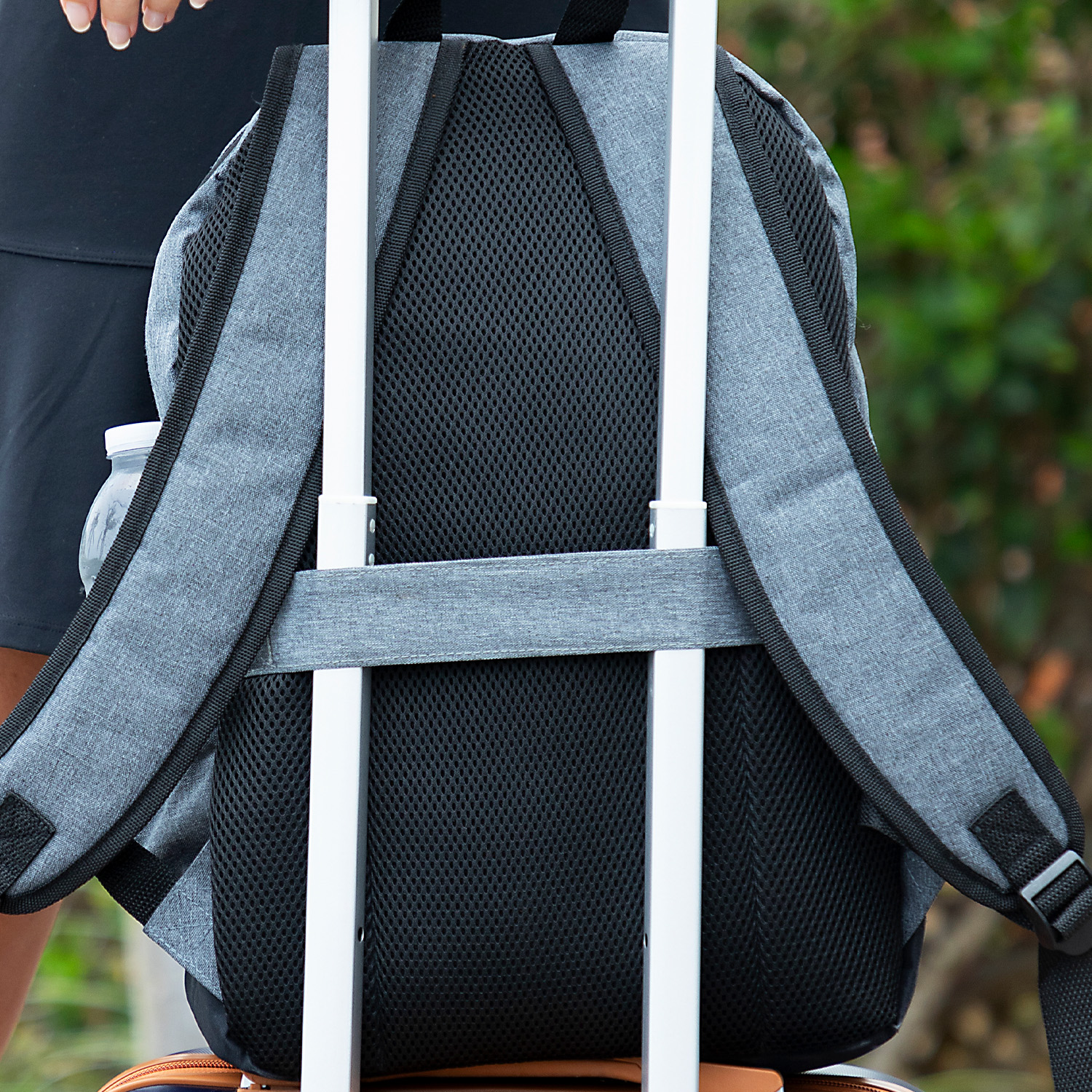 Picture of The Campus Backpack