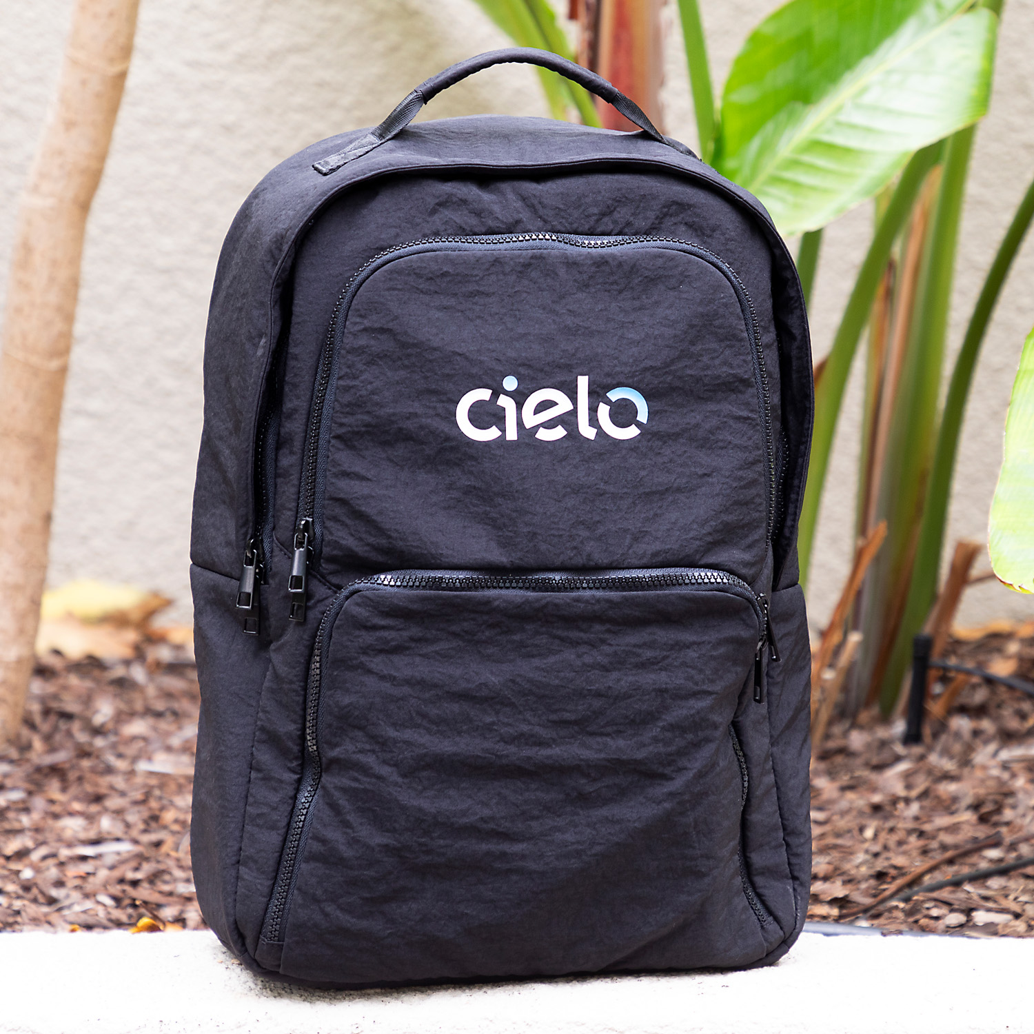 Picture of The Essential Backpack
