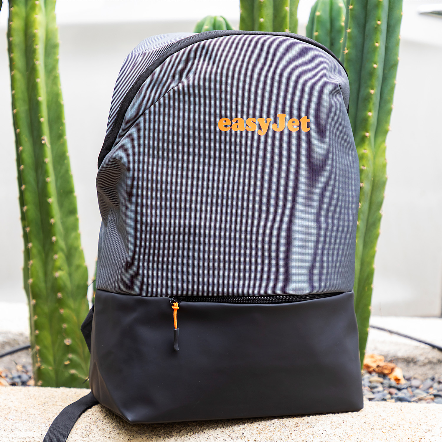 Picture of The Active Backpack