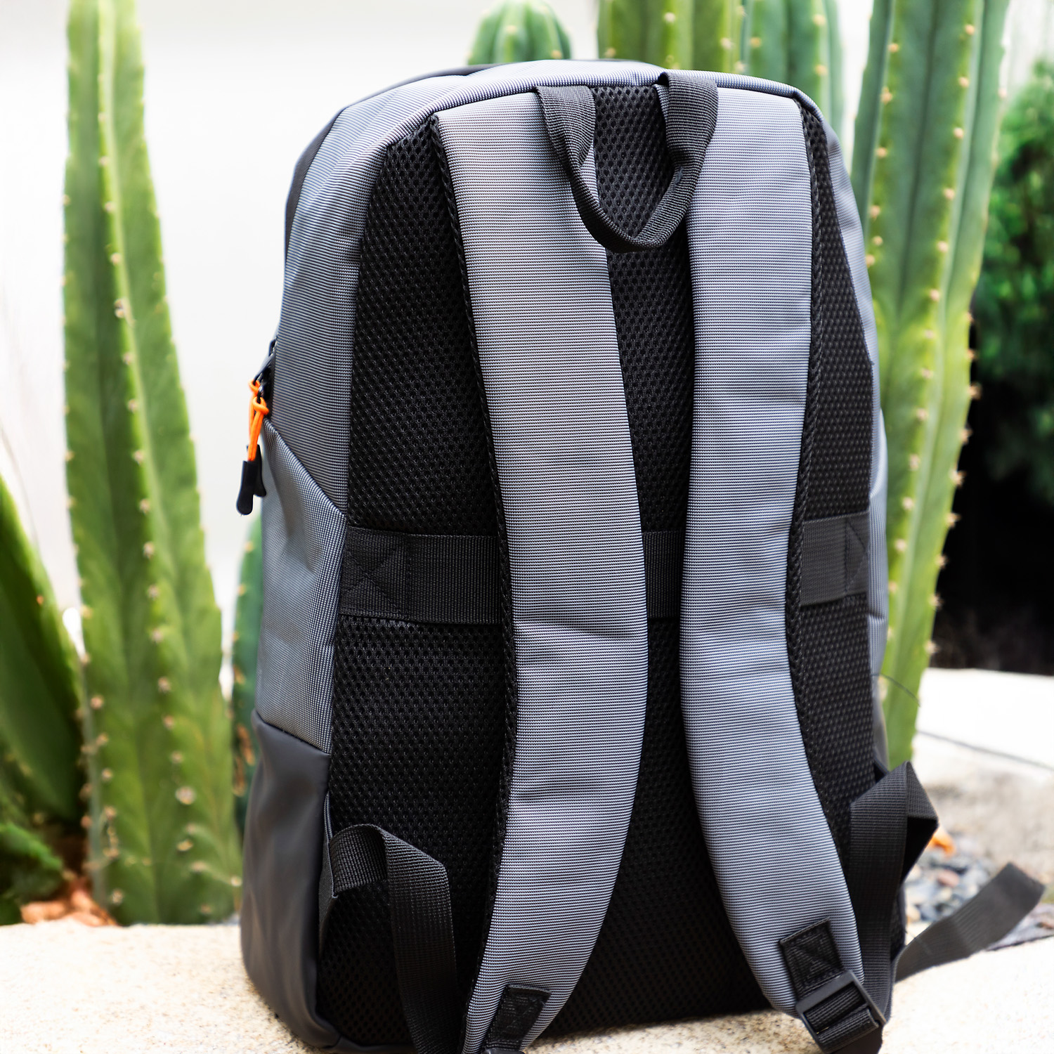 Picture of The Active Backpack