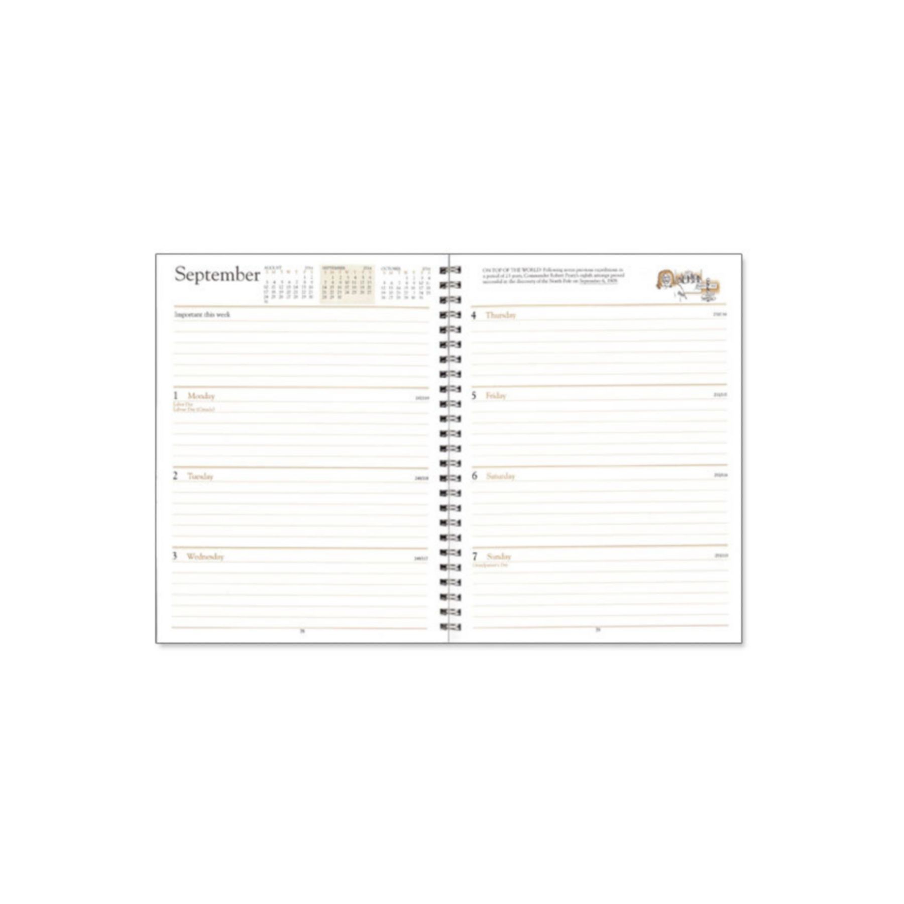 Picture of Refill-- Weekly Desk Diary (Dw)