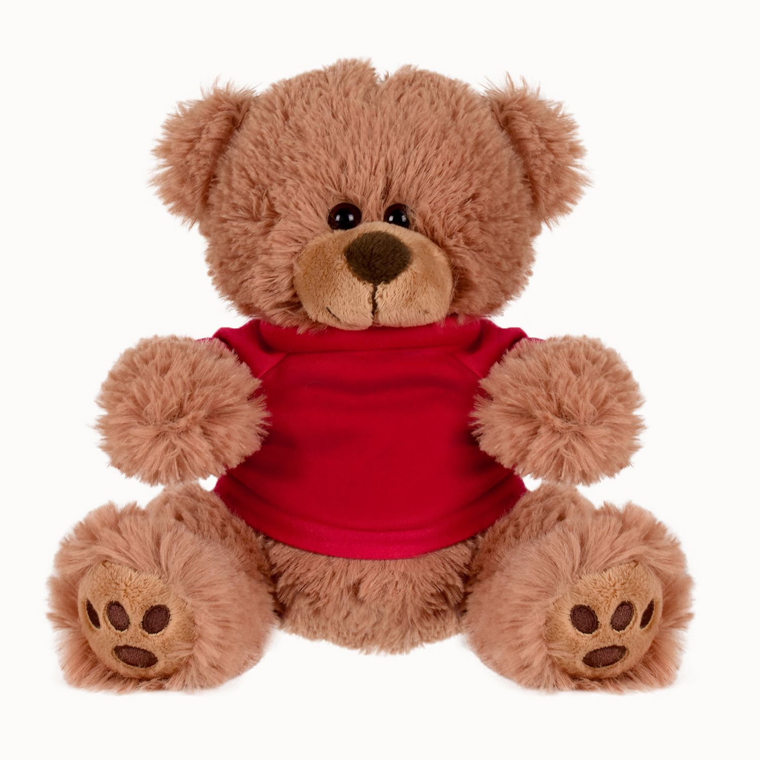 Picture of Plush Bear w/ Embroidered Paws and T-Shirt