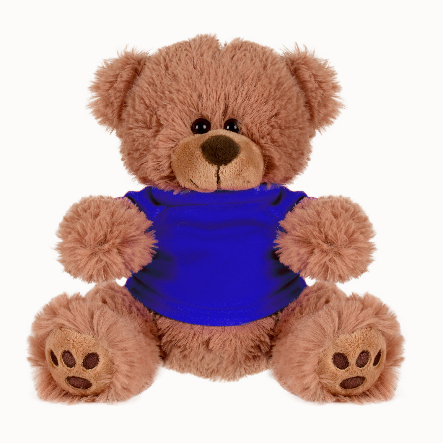 Picture of Plush Bear w/ Embroidered Paws and T-Shirt