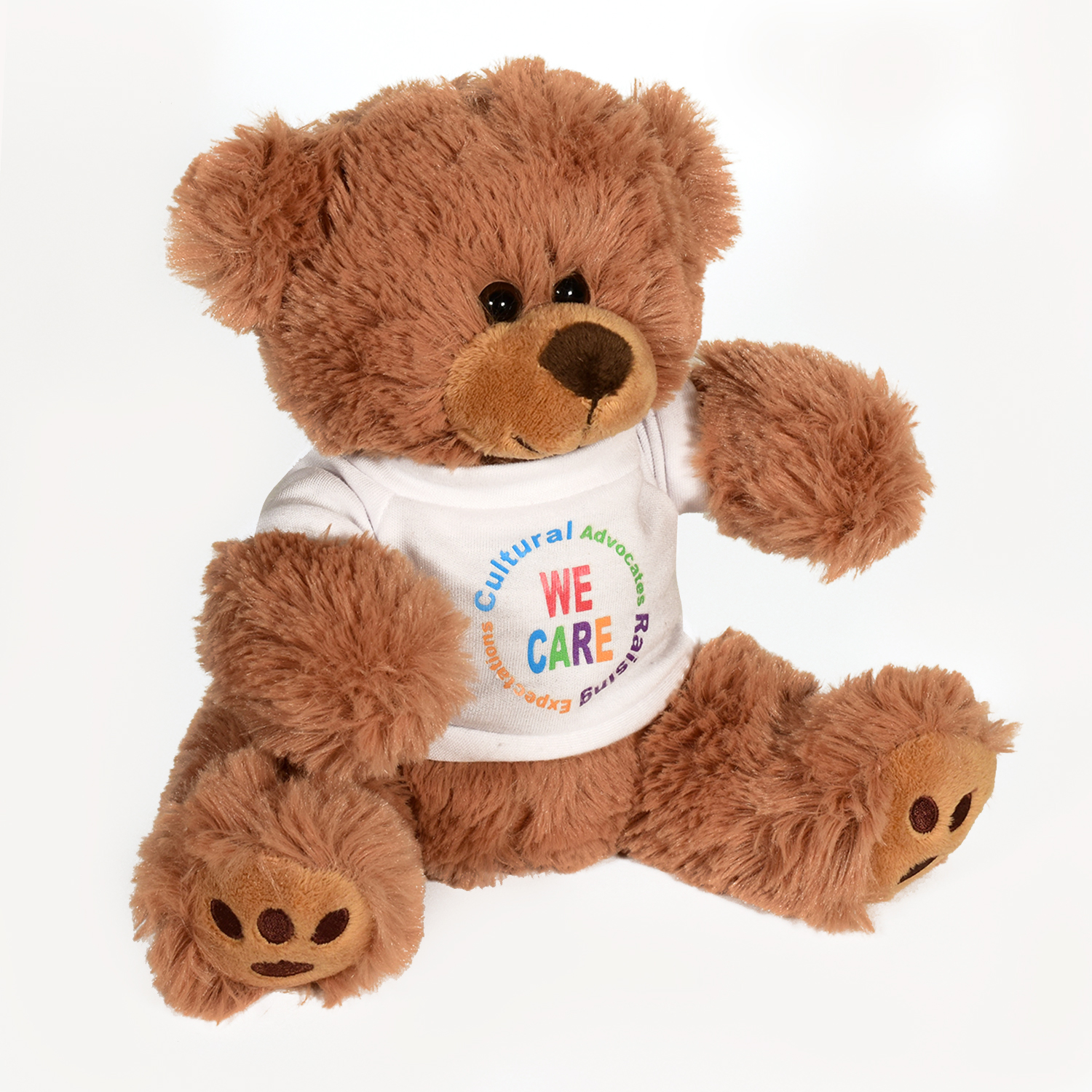 Picture of Plush Bear w/ Embroidered Paws and T-Shirt