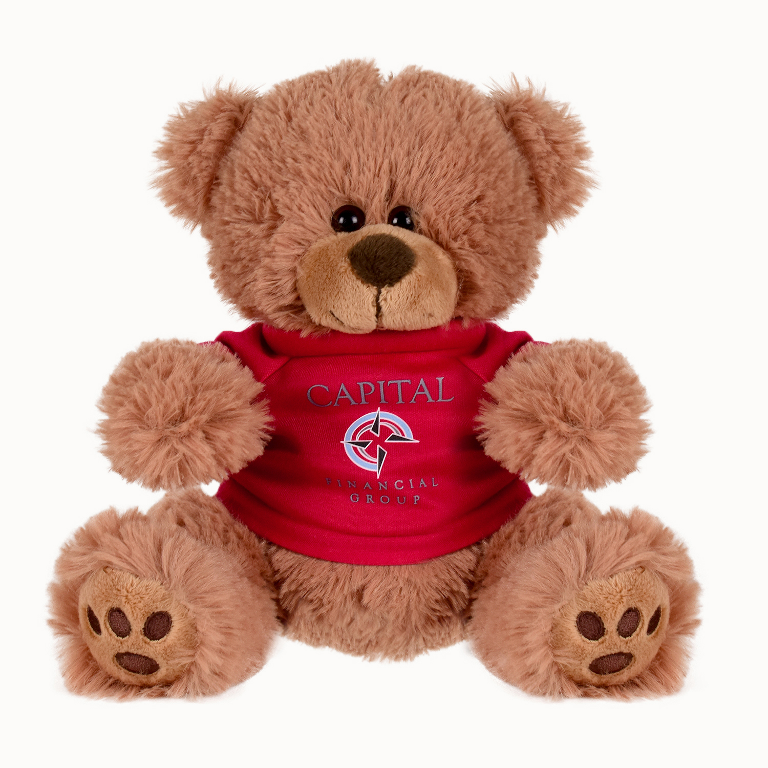 Picture of Plush Bear w/ Embroidered Paws and T-Shirt