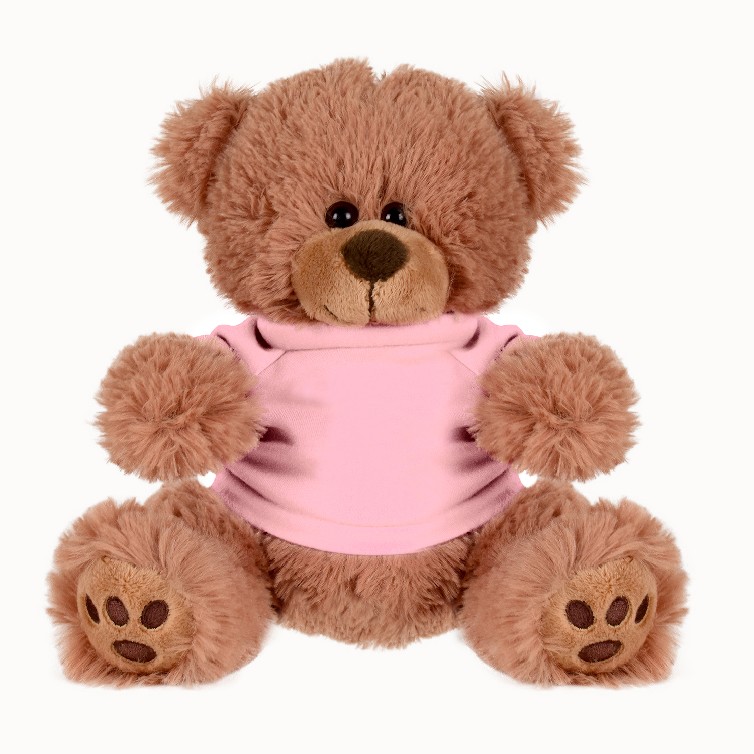 Picture of Plush Bear w/ Embroidered Paws and T-Shirt