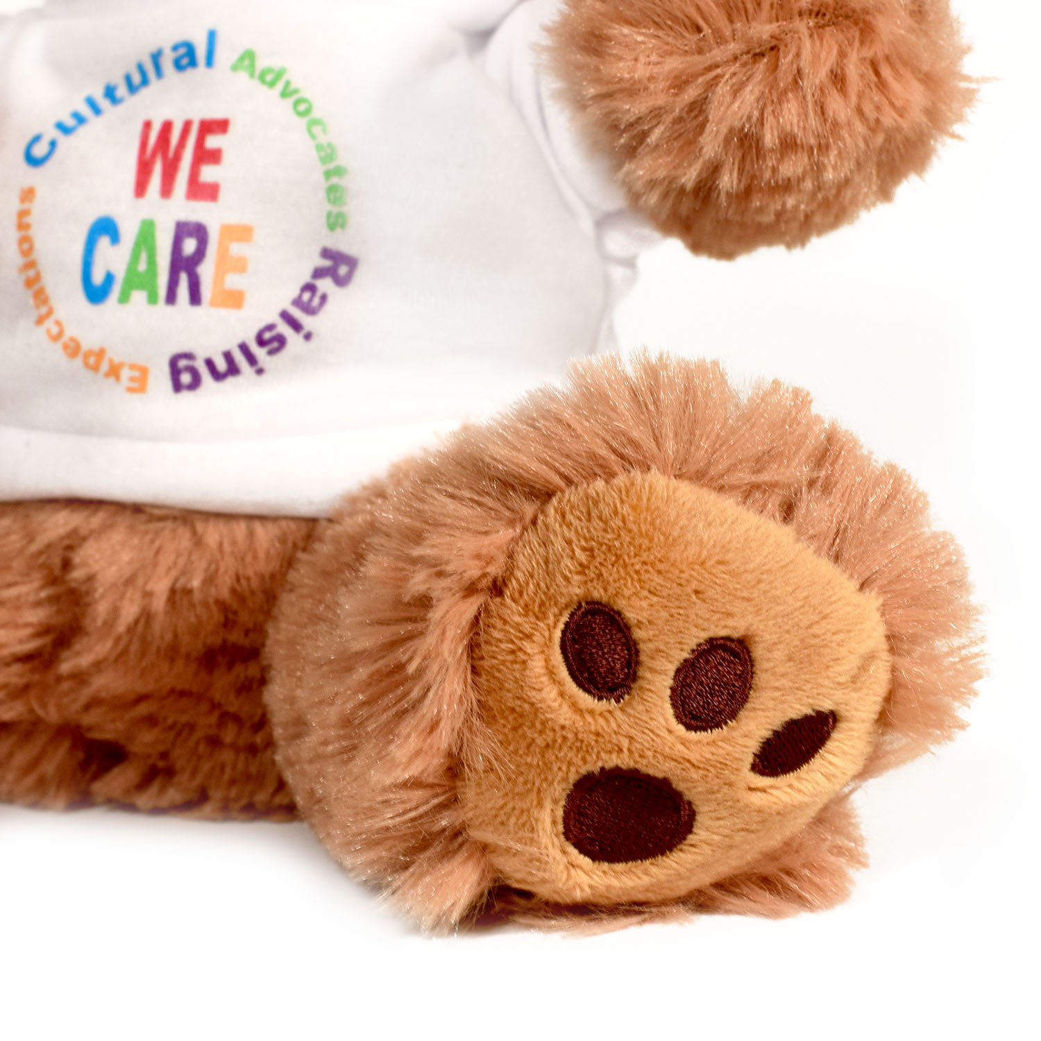 Picture of Plush Bear w/ Embroidered Paws and T-Shirt