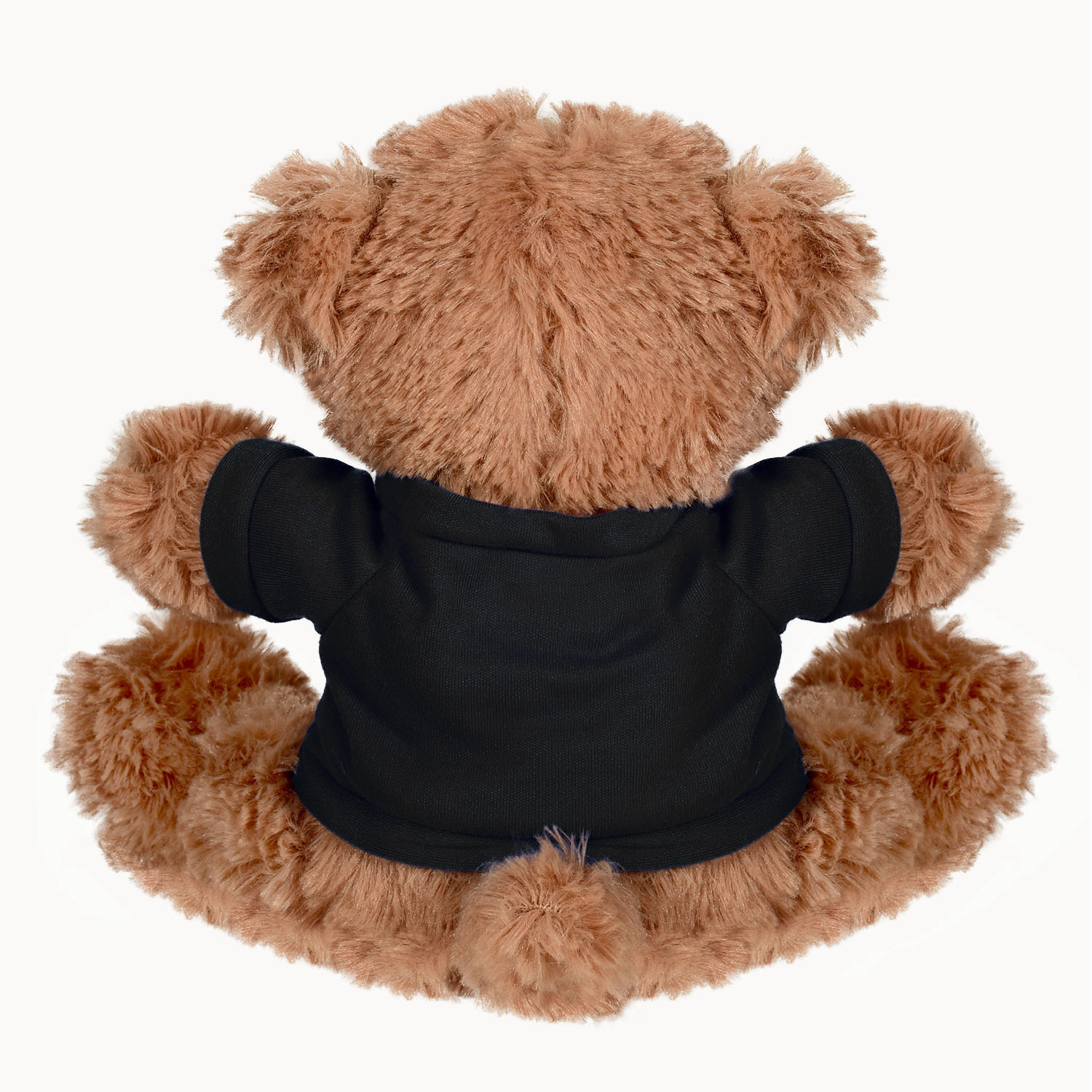 Picture of Plush Bear w/ Embroidered Paws and T-Shirt