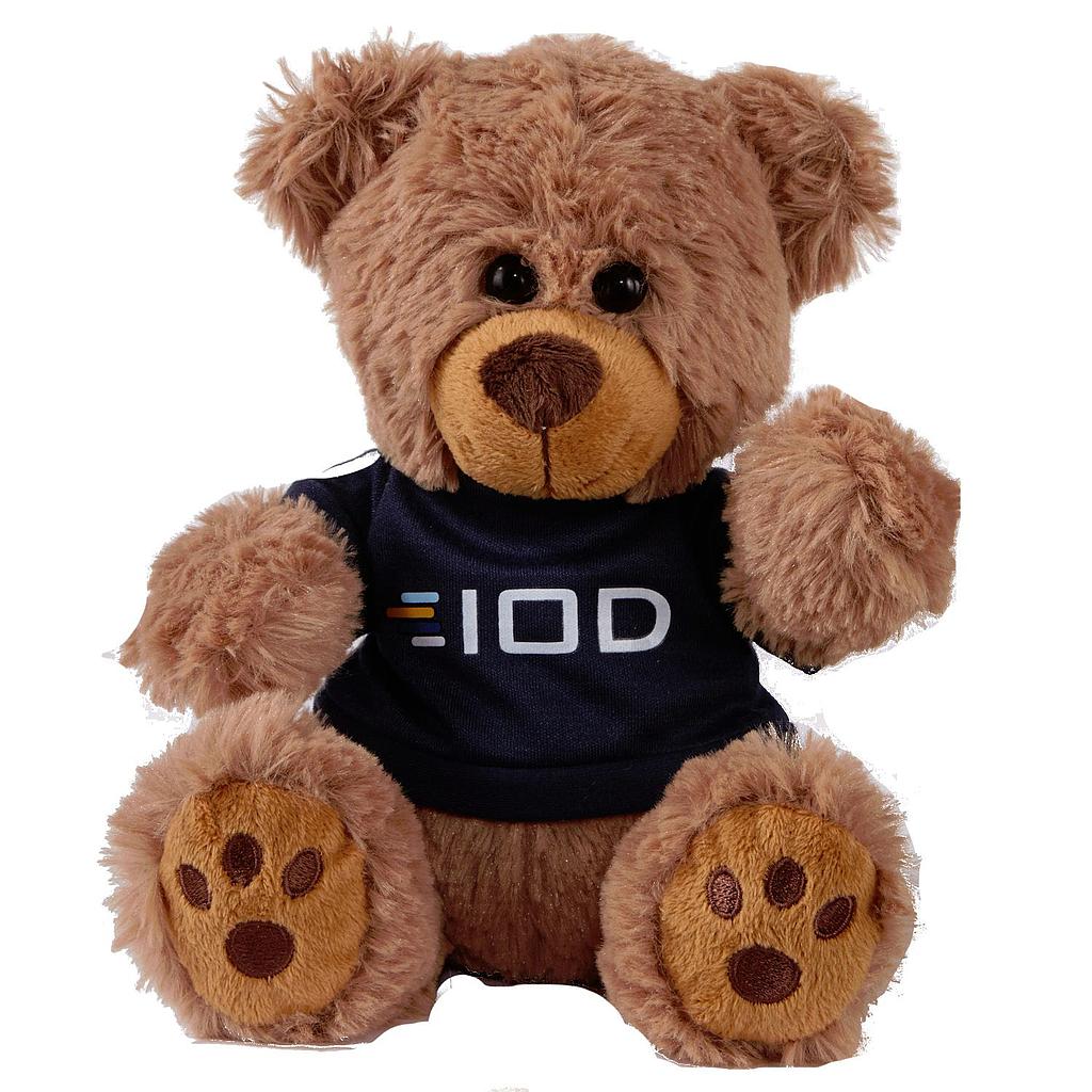 Picture of Plush Bear w/ Embroidered Paws and T-Shirt