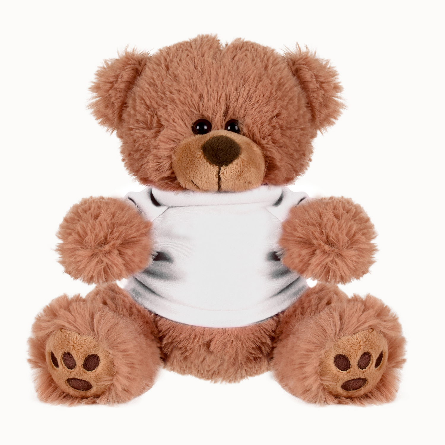 Picture of Plush Bear w/ Embroidered Paws and T-Shirt