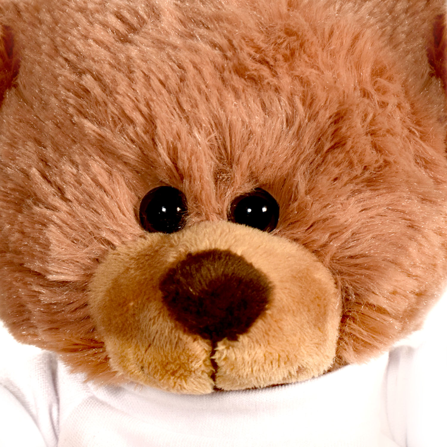 Picture of Plush Bear w/ Embroidered Paws and T-Shirt