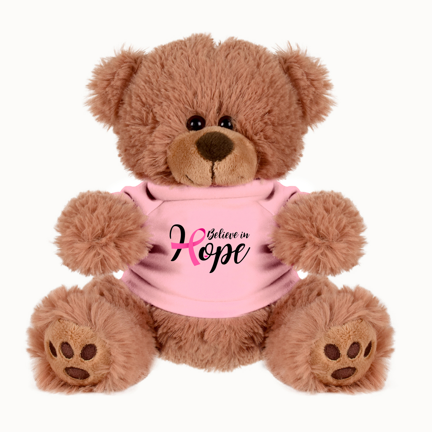 Picture of Plush Bear w/ Embroidered Paws and T-Shirt