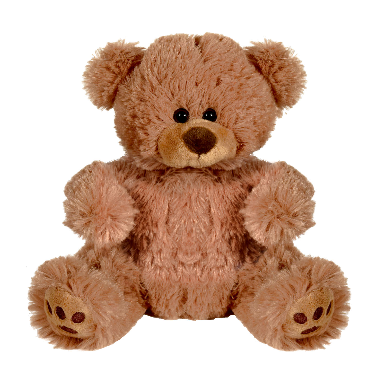 Picture of Plush Bear w/ Embroidered Paws and T-Shirt
