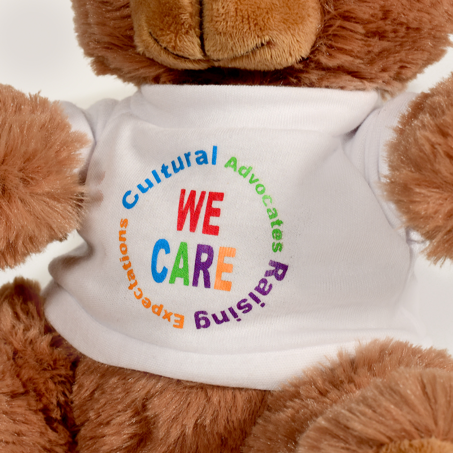 Picture of Plush Bear w/ Embroidered Paws and T-Shirt