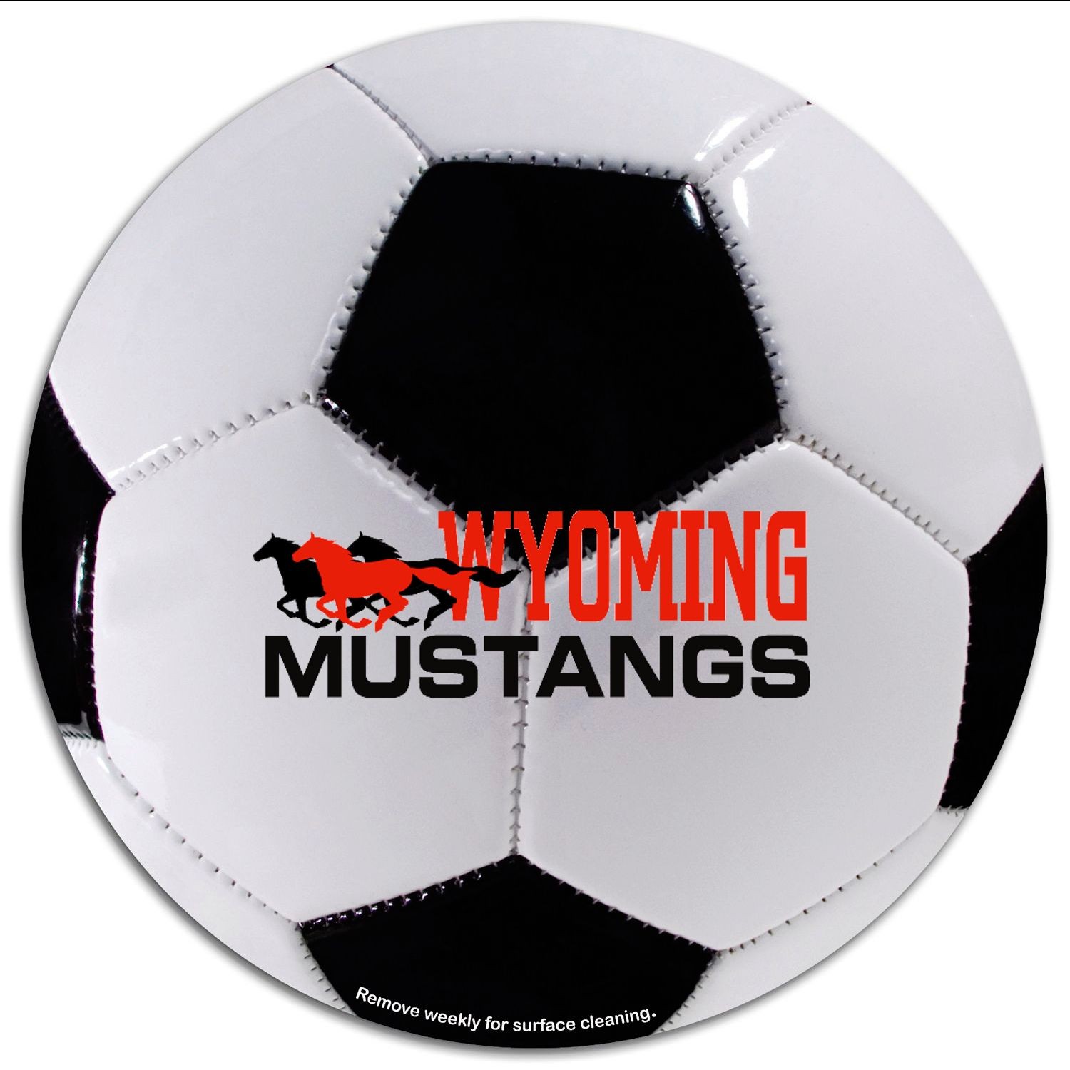 Picture of Circle 5-3/4 Diameter Car Sign Magnet