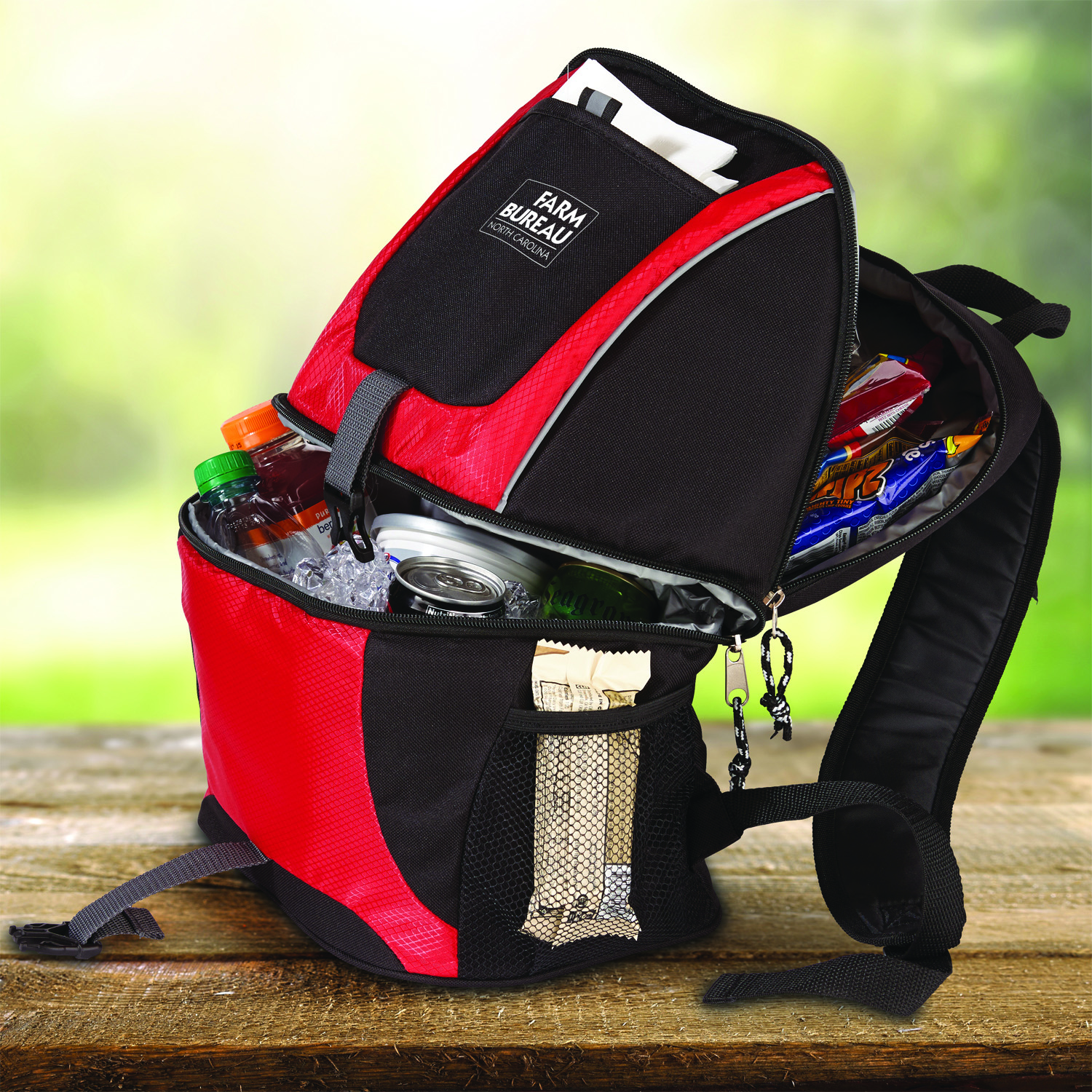 Picture of Backpack Cooler