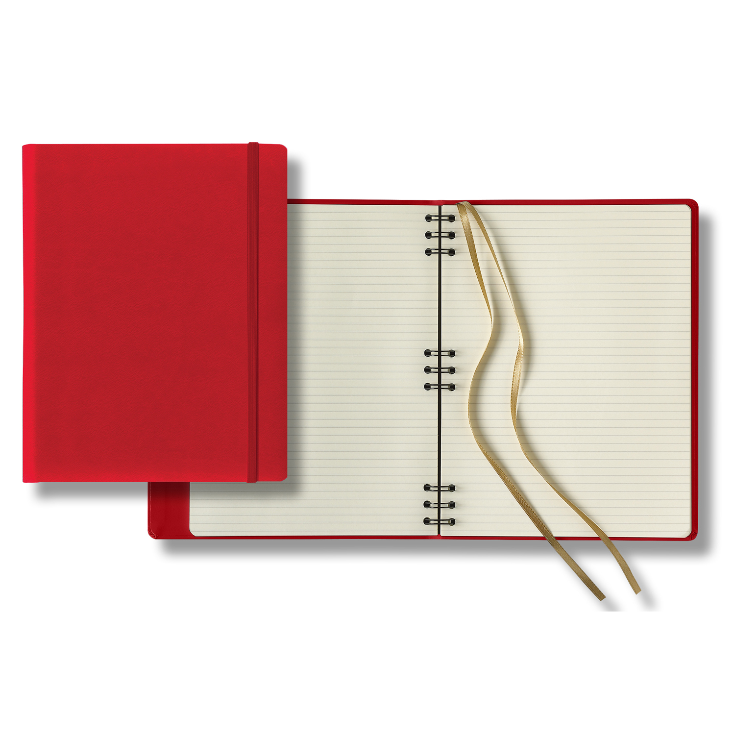 Picture of Castelli Tucson Hybrid Grande Lined Ivory Page Journal