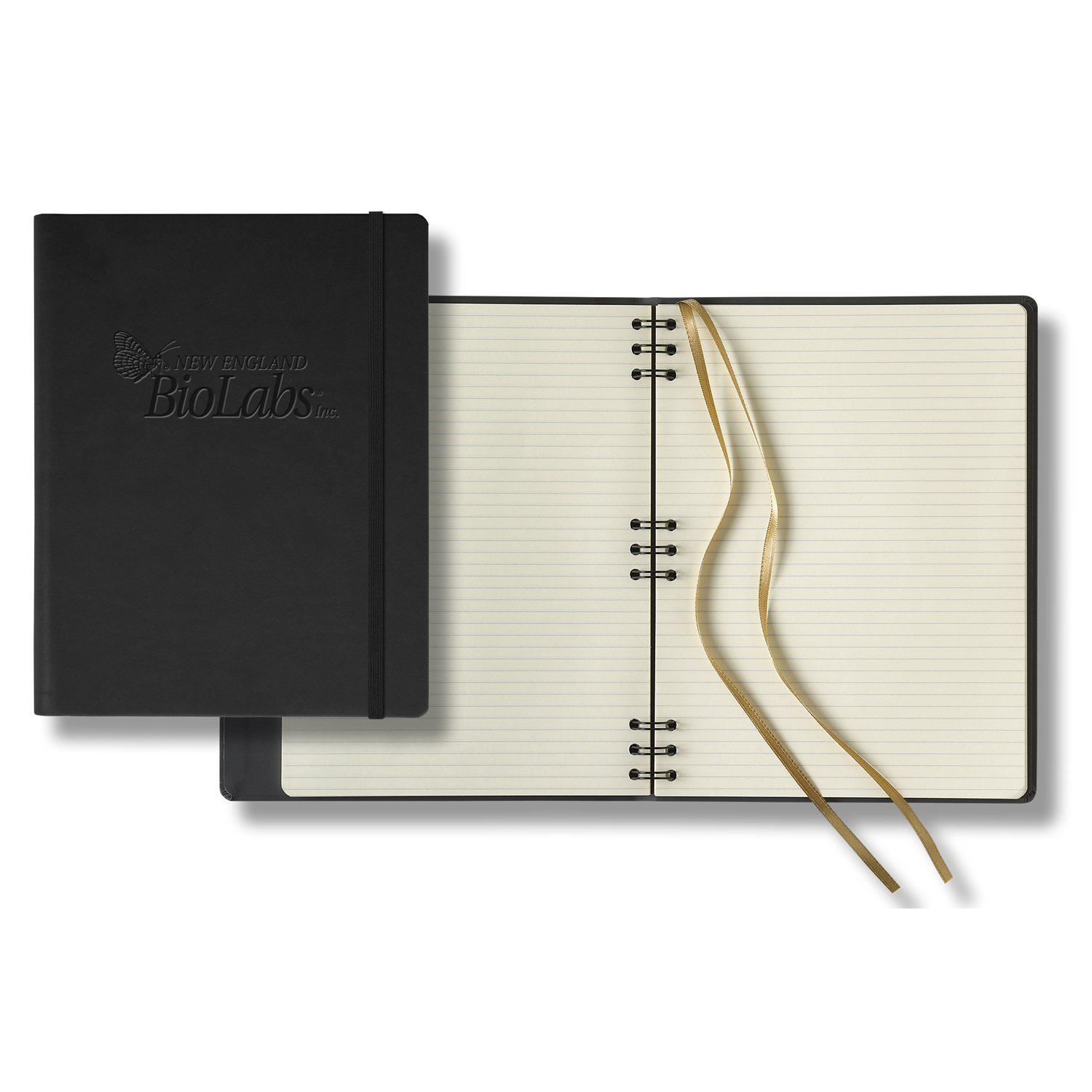 Picture of Castelli Tucson Hybrid Grande Lined Ivory Page Journal