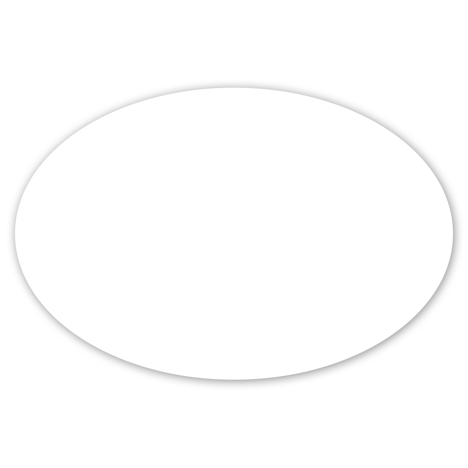 Picture of Car Sign Oval Magnet 6 x 4