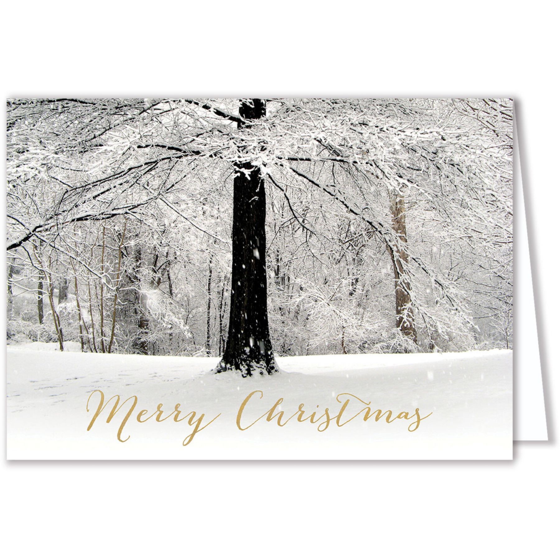 Picture of White Christmas Card