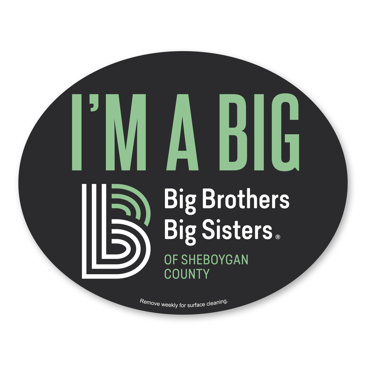 Picture of Car Sign Oval Magnet 5 x 4