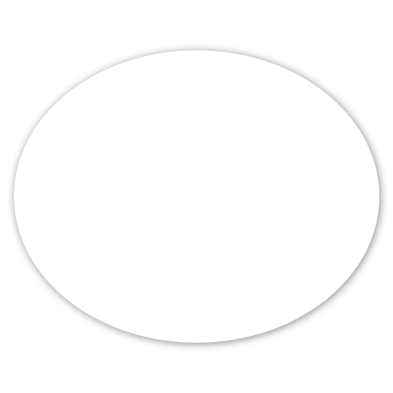 Picture of Car Sign Oval Magnet 5 x 4