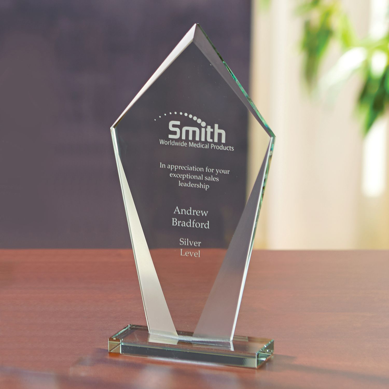 Picture of Pierce Award - Medium
