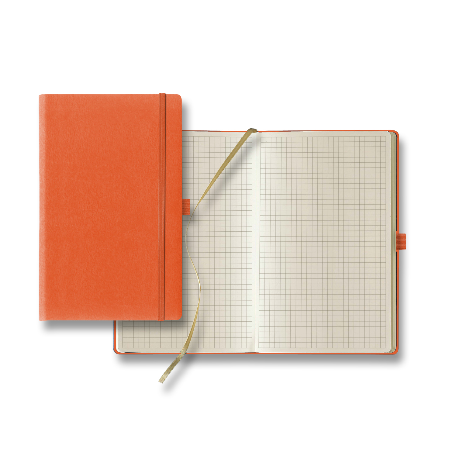 Picture of Castelli Tucson Medio Graph Ivory Page Journal