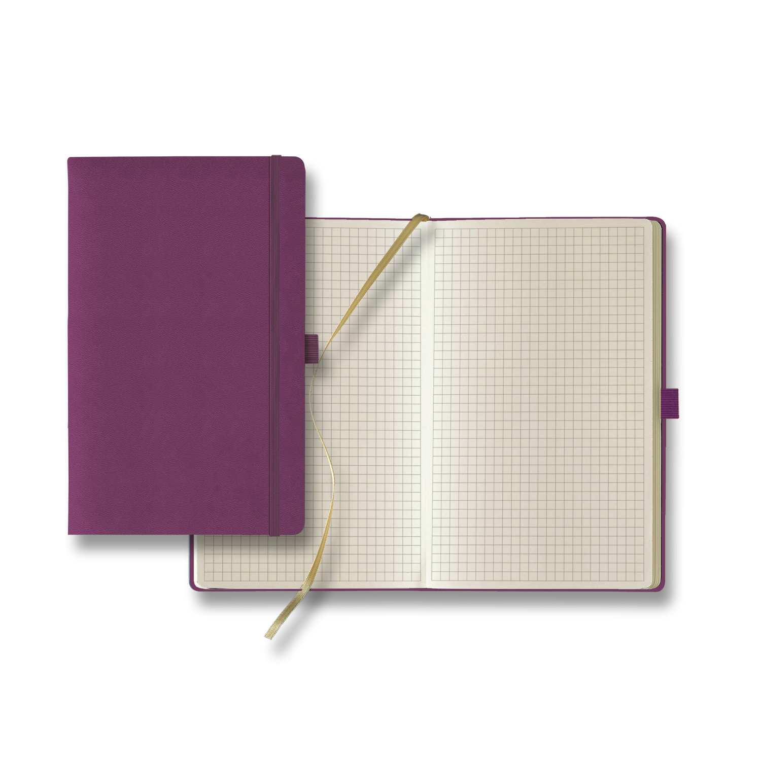 Picture of Castelli Tucson Medio Graph Ivory Page Journal