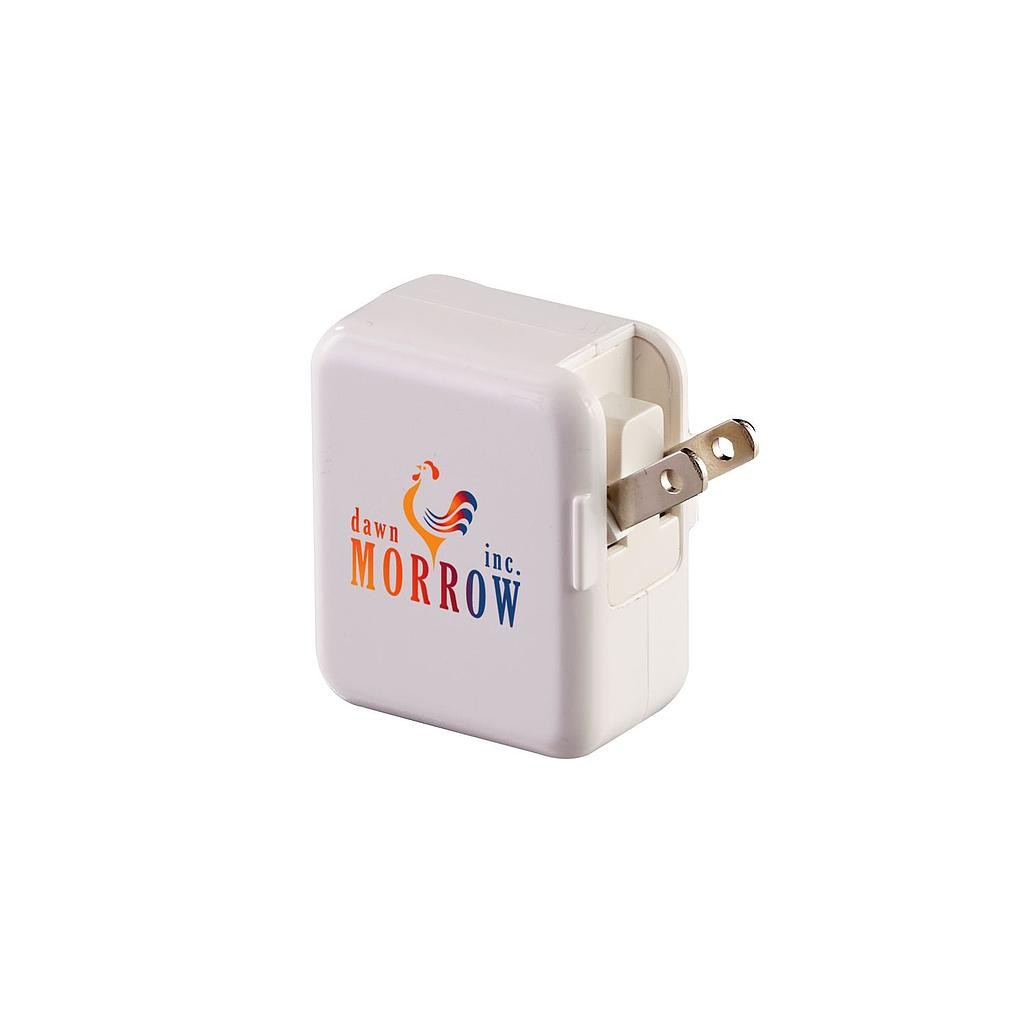 Picture of Dual Port AC to USB Adaptor