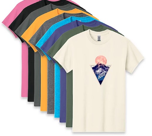 Picture of Unisex Gildan T-Shirt Full Color Dtg Qty 1 Ny