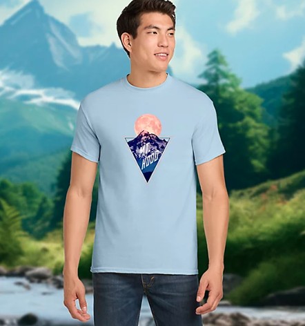Picture of Unisex Gildan T-Shirt Full Color Dtg Qty 1 Ny