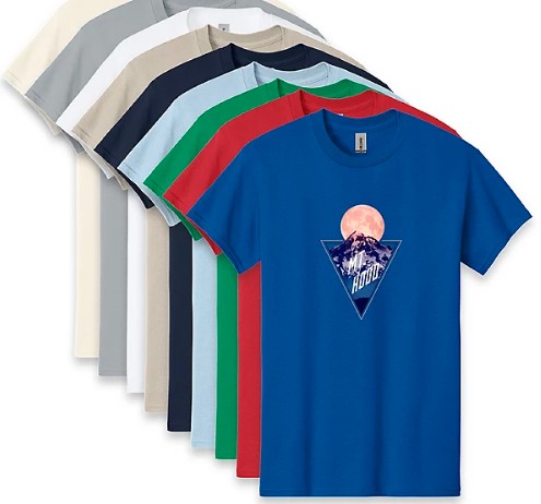 Picture of Unisex Gildan T-Shirt Full Color Dtg Qty 1 Ny