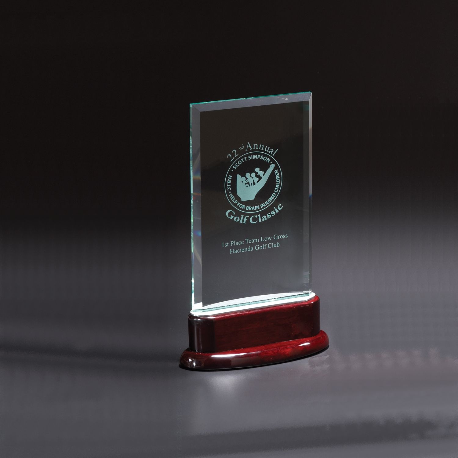 Picture of Statute Large Award