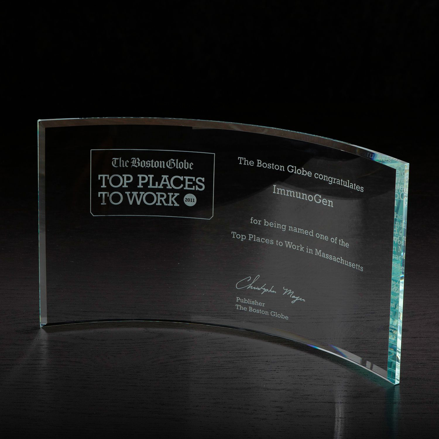 Picture of Times Large Glass Award