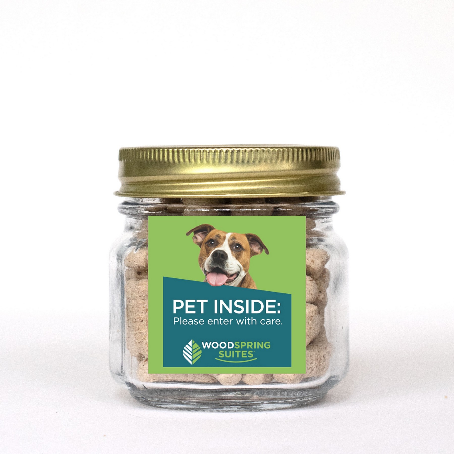 Picture of Pint Jar w/ Square Magnet Pet Fill