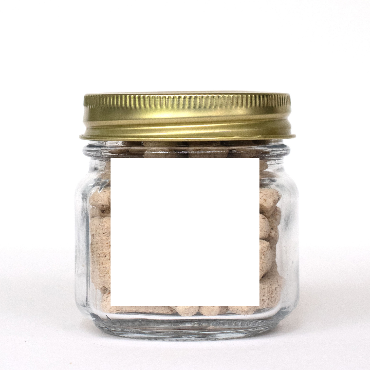 Picture of Pint Jar w/ Square Magnet Pet Fill