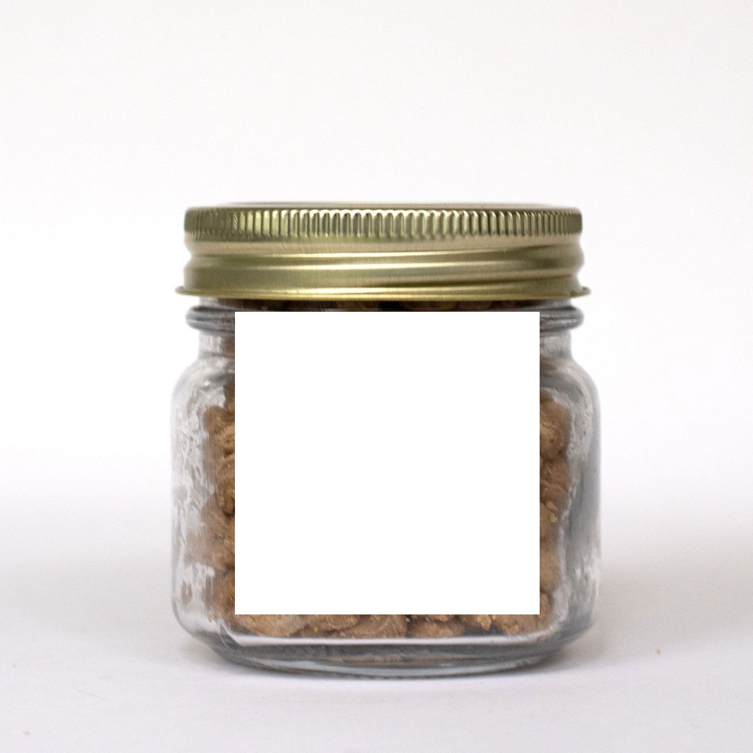 Picture of Pint Jar w/ Square Magnet Pet Fill