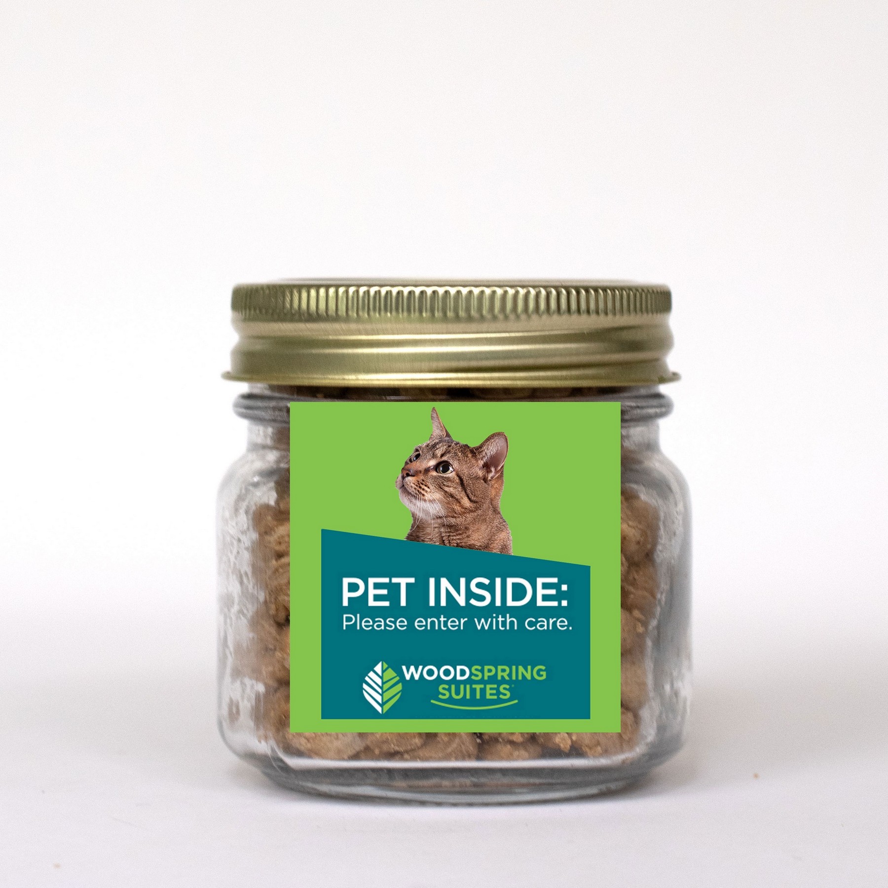 Picture of Pint Jar w/ Square Magnet Pet Fill