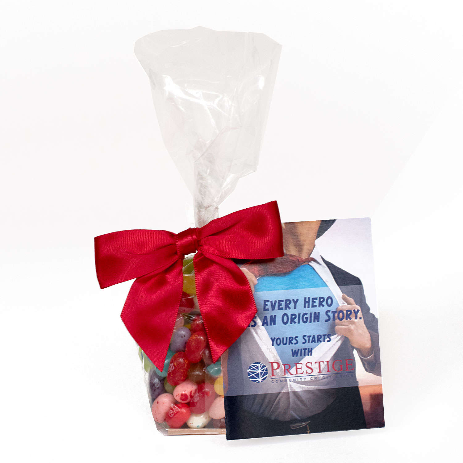 Picture of Gift Bag with Printed Card & Rectangle Magnet Premium Fill