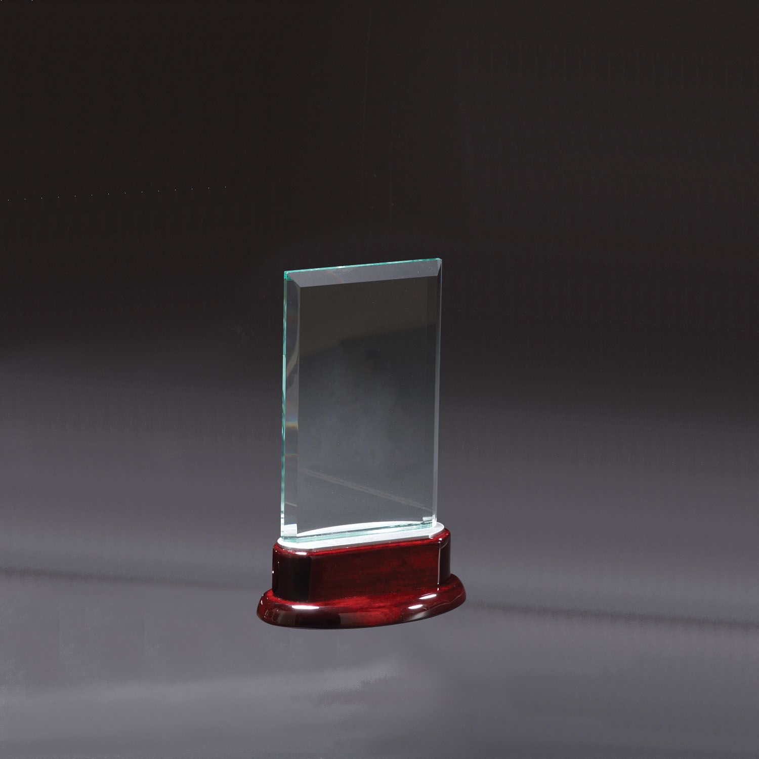 Picture of Statute Small Award