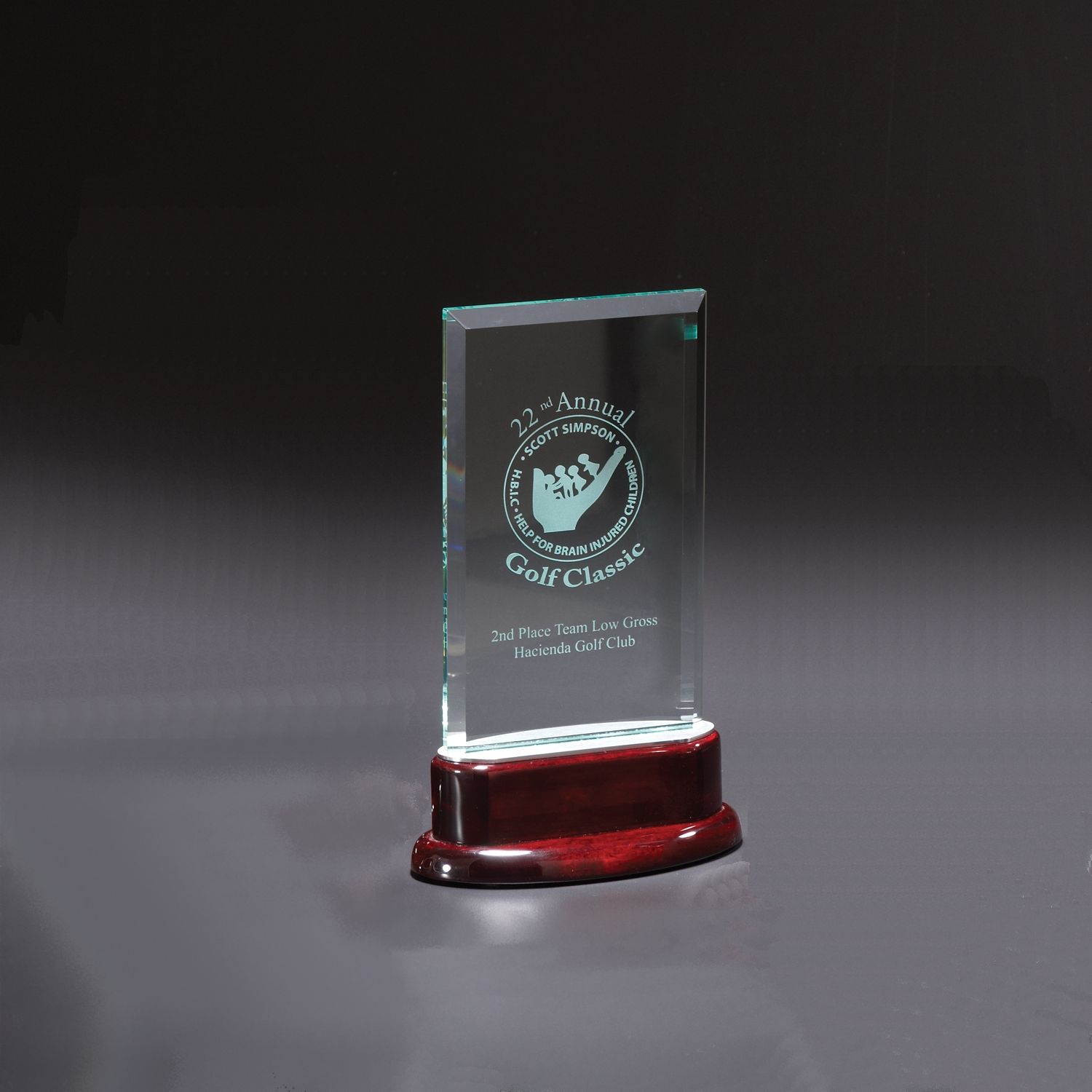 Picture of Statute Medium Award