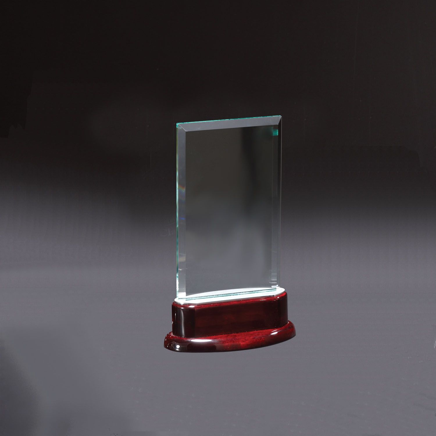 Picture of Statute Medium Award