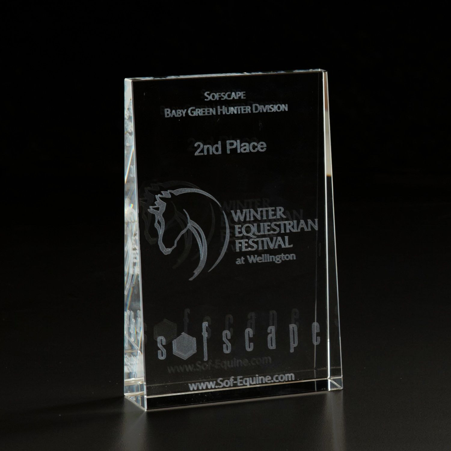 Picture of 3D Crystal Wedge Small Award