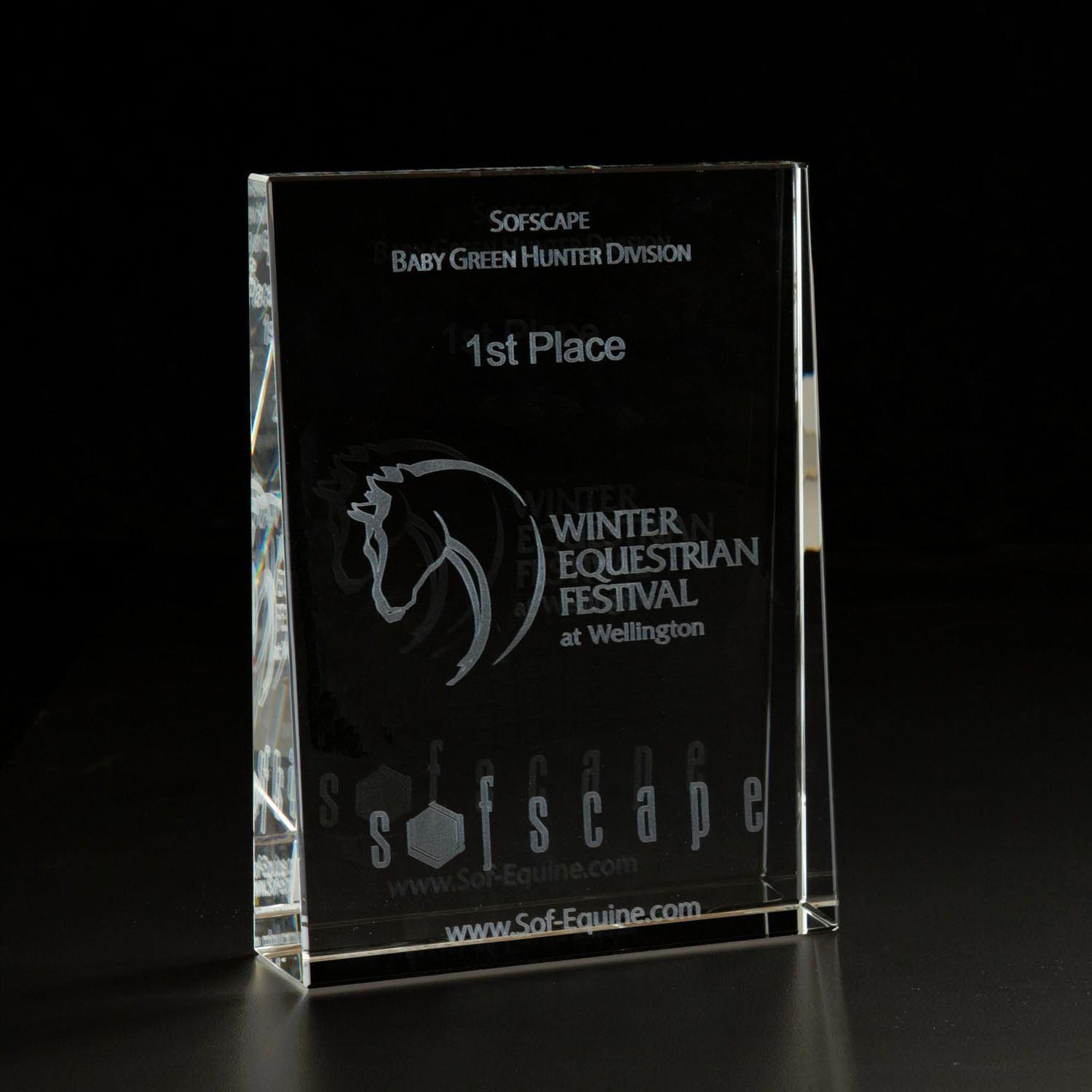 Picture of 3D Crystal Wedge Large Award