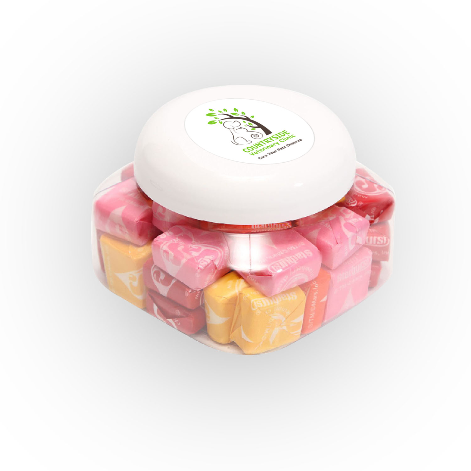 Picture of Large Snack Canister Standard Fill