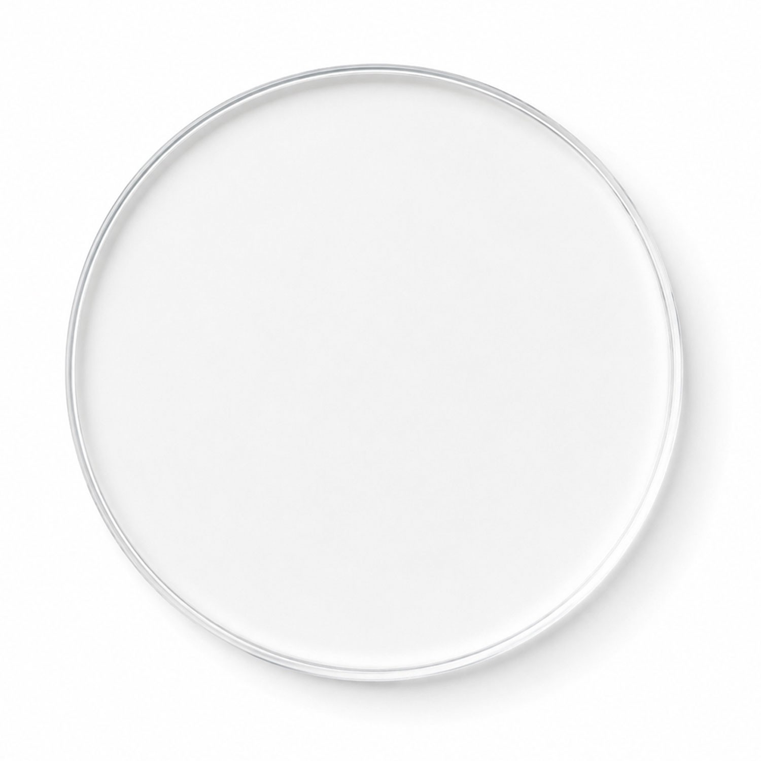 Picture of 2" Diameter Circle Acrylic Magnet