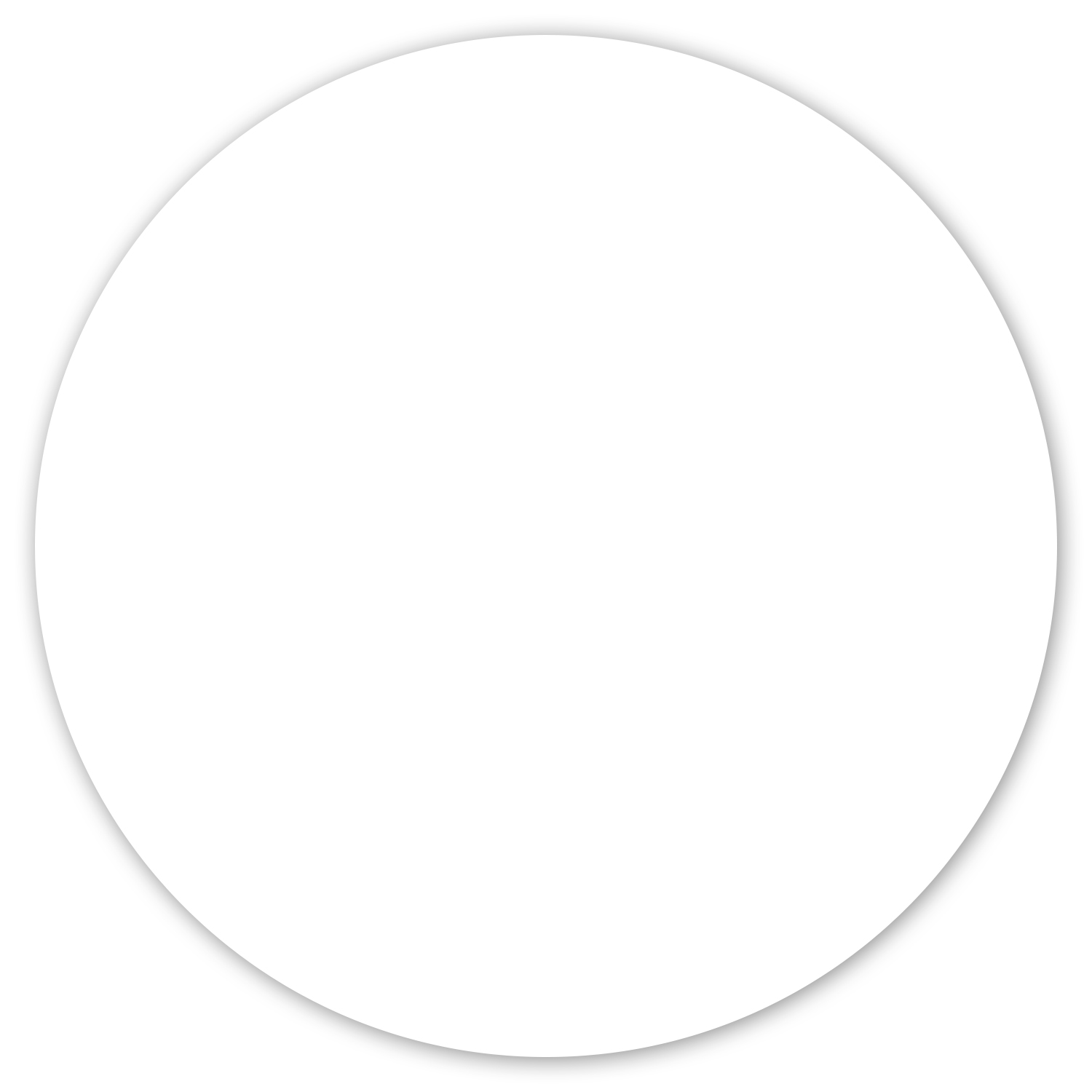Picture of Car Sign Magnet 5 1/2" diam