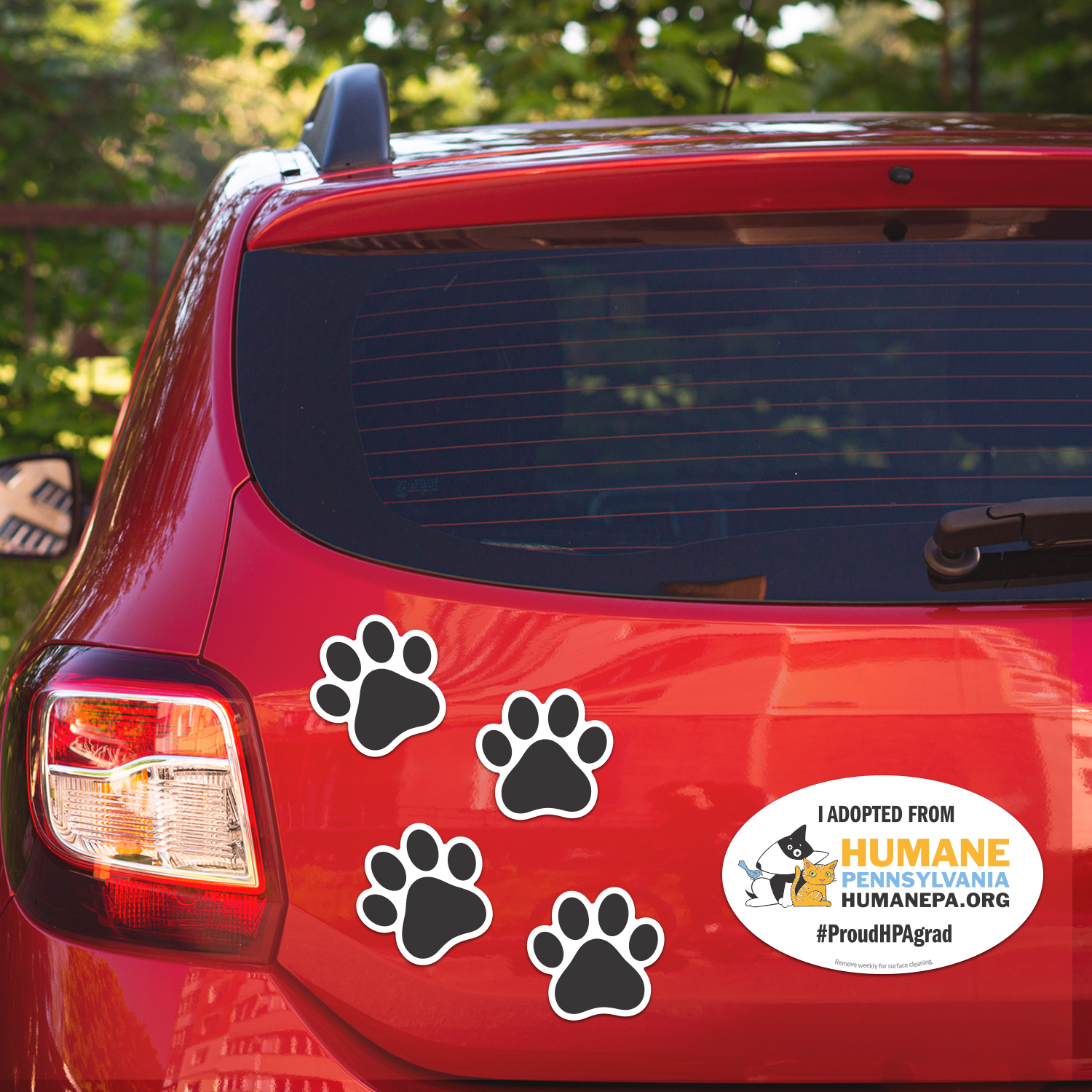Picture of 2" 1 Oval Car Magnet with 4 Paw Prints