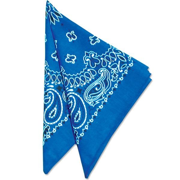 Picture of 22" Bandannas (12 Pack)